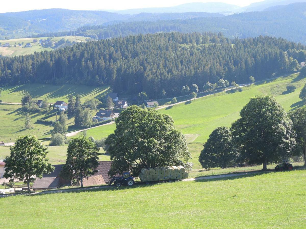 Ferienwohnung Saig Lenzkirch Kültér fotó